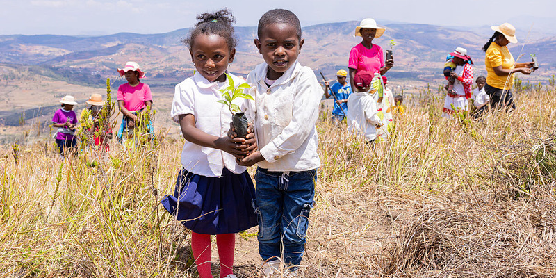 Die Kinder pflanzen jährlich zum Baumpflanztag ein eigenes Bäumchen im Hochland von Madagaskar