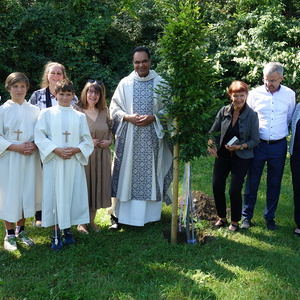 Baum gepflanzt                         